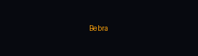 Bebra